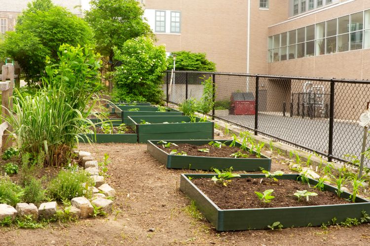 School Gardens on Student Wellness