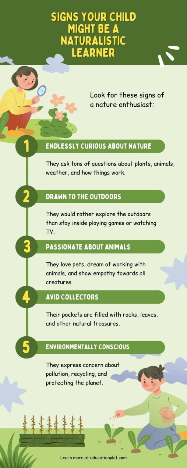 Understanding Naturalistic Learners: Traits and Strategies - educationplat