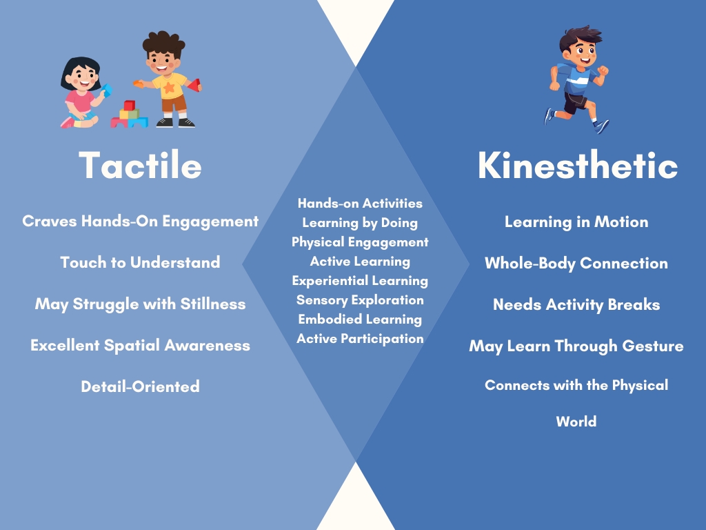 Tactile vs. Kinesthetic Learning